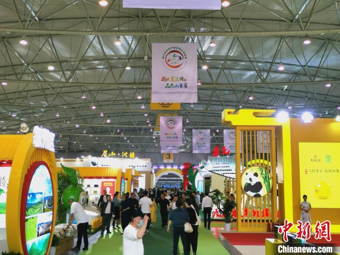 第10届四川茶博会开幕蓉城又闻茶飘香